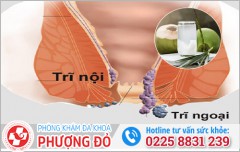 Bị trĩ uống nước dừa được không? Bác sĩ chia sẻ cách uống an toàn