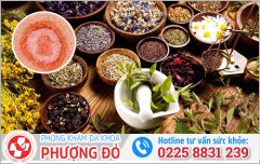 Chữa Bệnh Giang Mai Bằng Thuốc Đông Y, Thuốc Nam Có Hiệu Quả Không?