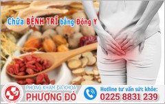 Chữa Bệnh Trĩ Bằng Đông Y Có Hiệu Quả Không? Khi Nào Nên Áp Dụng?