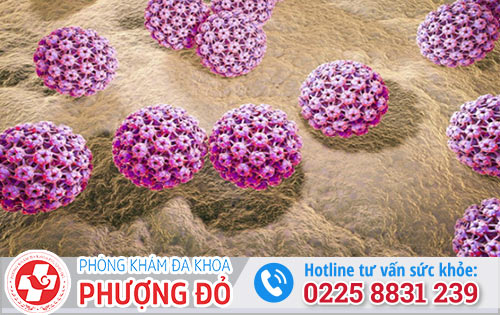Virus HPV có gây ung thư không?