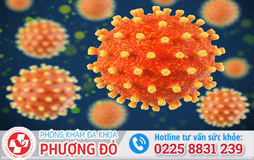 Virus HSV là bệnh gì và có biểu hiện thế nào?
