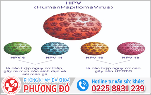 Một số thông tin về virus HPV
