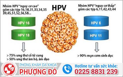 Trường hợp nhiễm chủng virus HPV nguy cơ cao thì cơ thể không tự đào thải